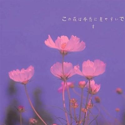 kaiyun体育下载入口