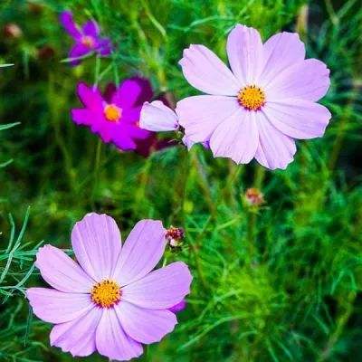 开开棋牌app下载