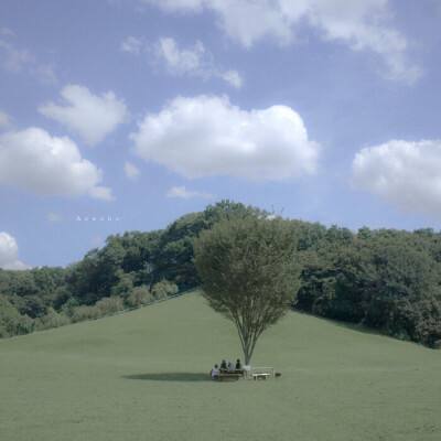 半岛体体育下载